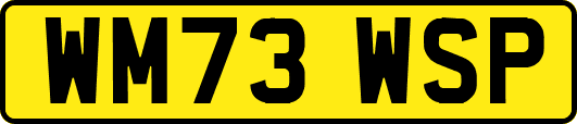 WM73WSP