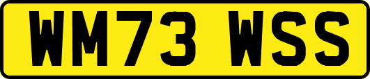 WM73WSS