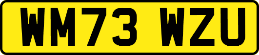 WM73WZU