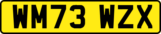 WM73WZX
