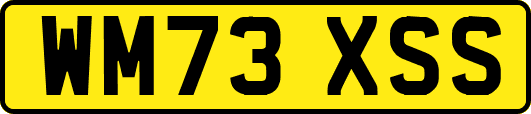 WM73XSS