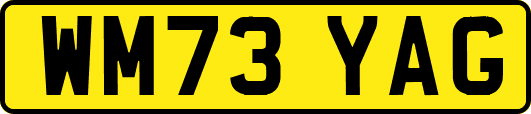 WM73YAG