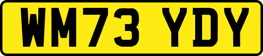 WM73YDY