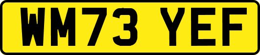 WM73YEF