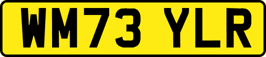 WM73YLR