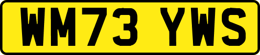WM73YWS