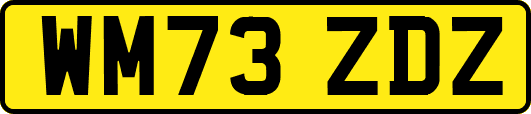 WM73ZDZ
