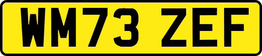 WM73ZEF