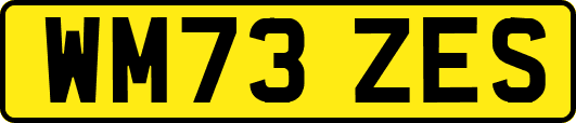 WM73ZES