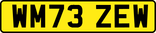 WM73ZEW