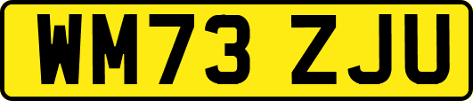 WM73ZJU