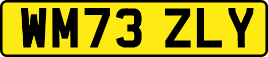 WM73ZLY