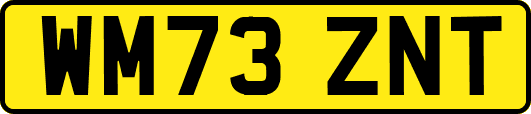 WM73ZNT