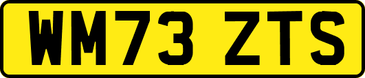 WM73ZTS