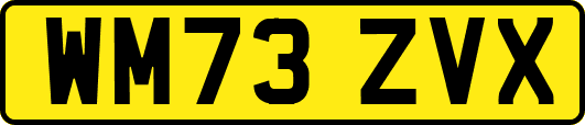 WM73ZVX