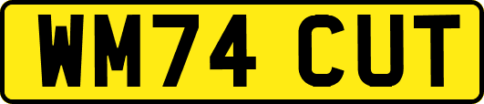 WM74CUT