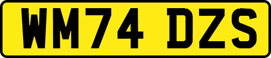 WM74DZS