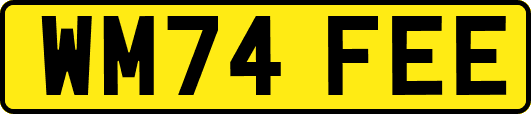WM74FEE