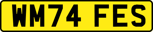WM74FES