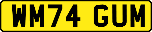 WM74GUM