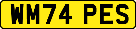 WM74PES