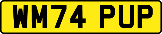 WM74PUP