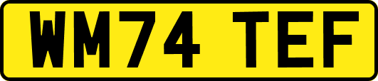 WM74TEF