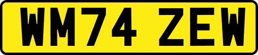 WM74ZEW
