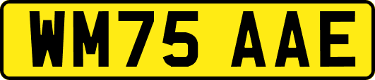 WM75AAE