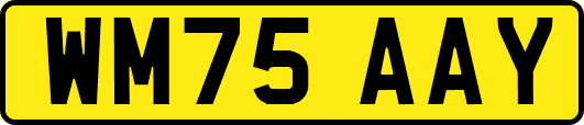 WM75AAY