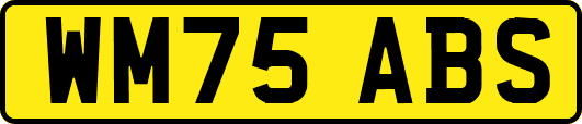 WM75ABS