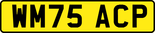 WM75ACP