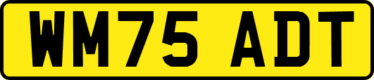 WM75ADT