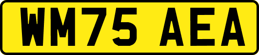 WM75AEA