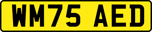 WM75AED