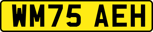 WM75AEH