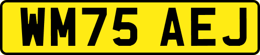 WM75AEJ