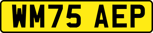 WM75AEP