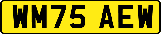 WM75AEW