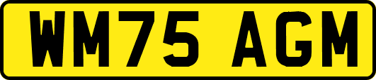 WM75AGM
