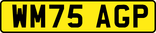 WM75AGP
