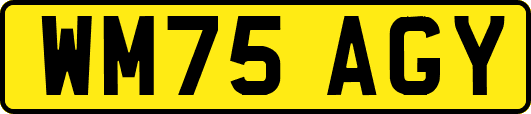 WM75AGY