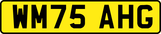 WM75AHG
