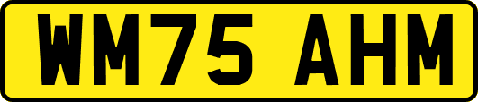 WM75AHM