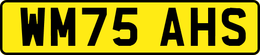WM75AHS
