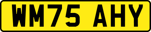WM75AHY