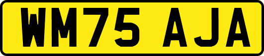 WM75AJA