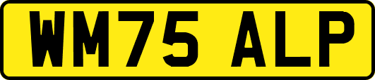 WM75ALP