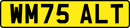 WM75ALT
