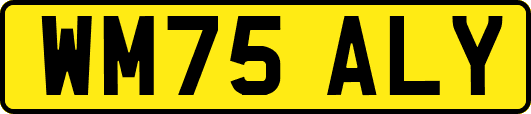 WM75ALY